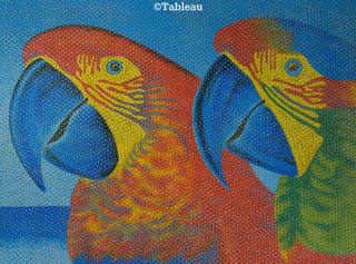 Claudio Tozzi - Araras