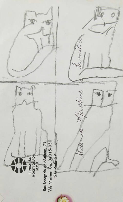 Gatos