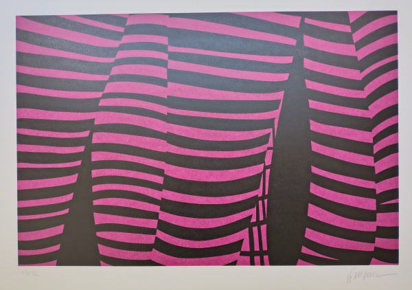 Kleber Ventura - Perna Pink