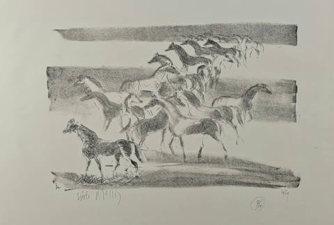 Cavalos