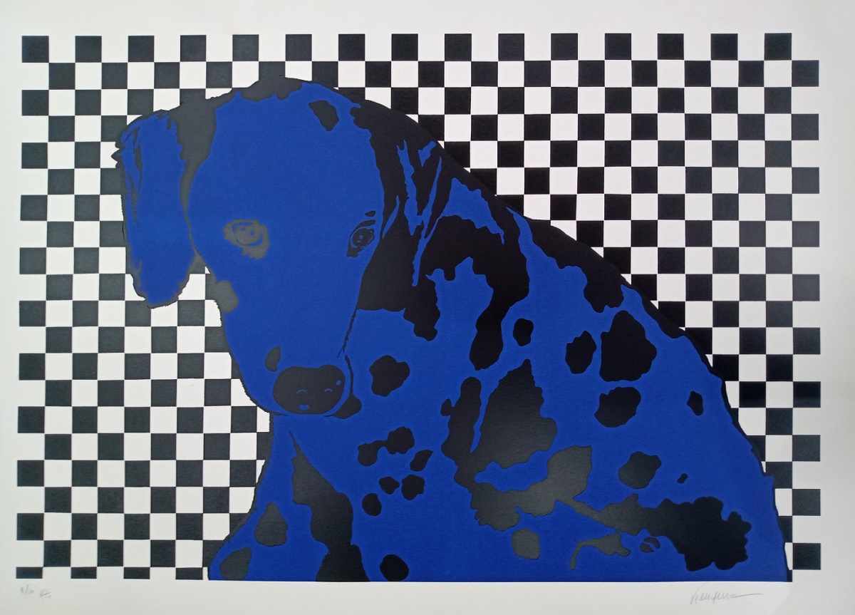 Cachorro azul