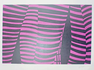 Kleber Ventura - Perna Pink