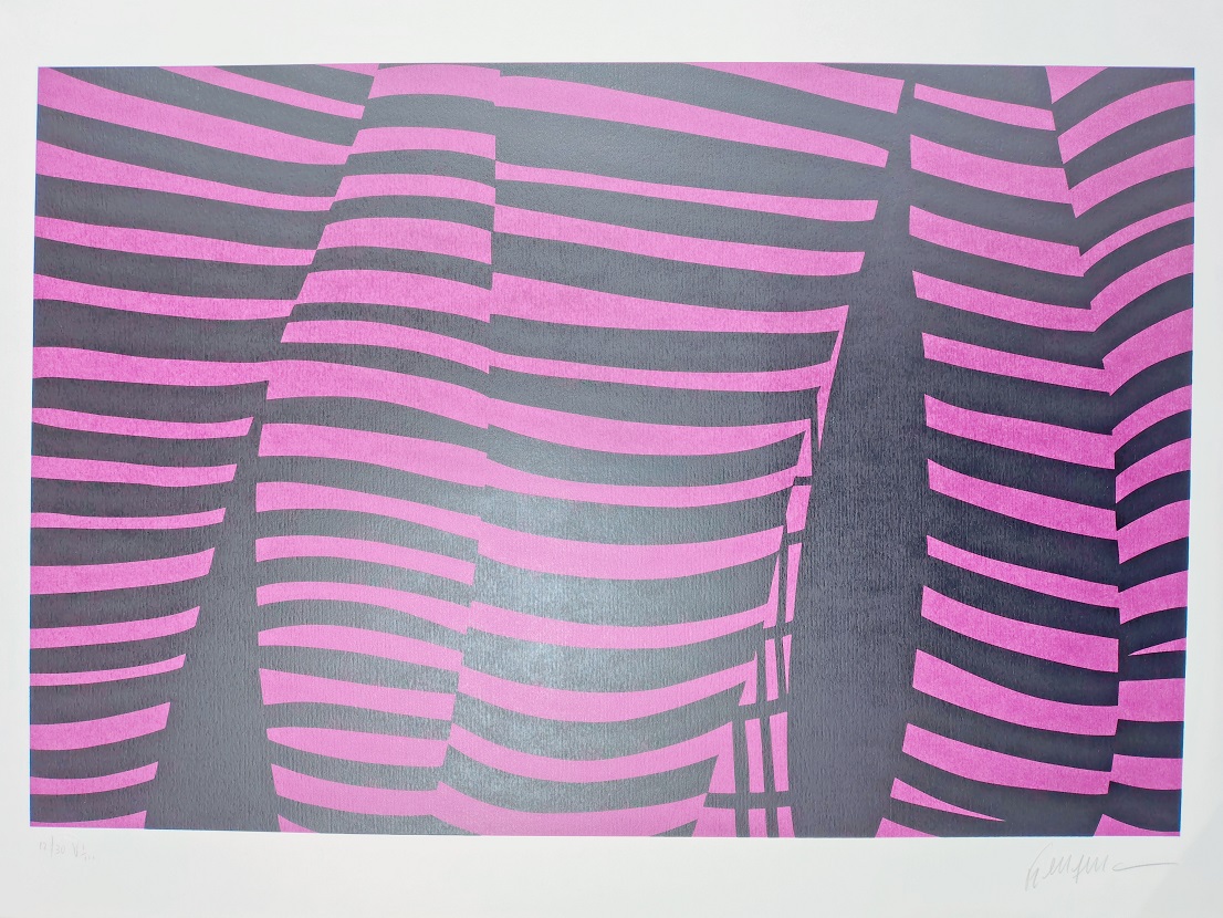 Kleber Ventura - Perna Pink