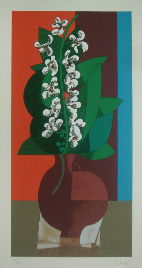 Orquídeas