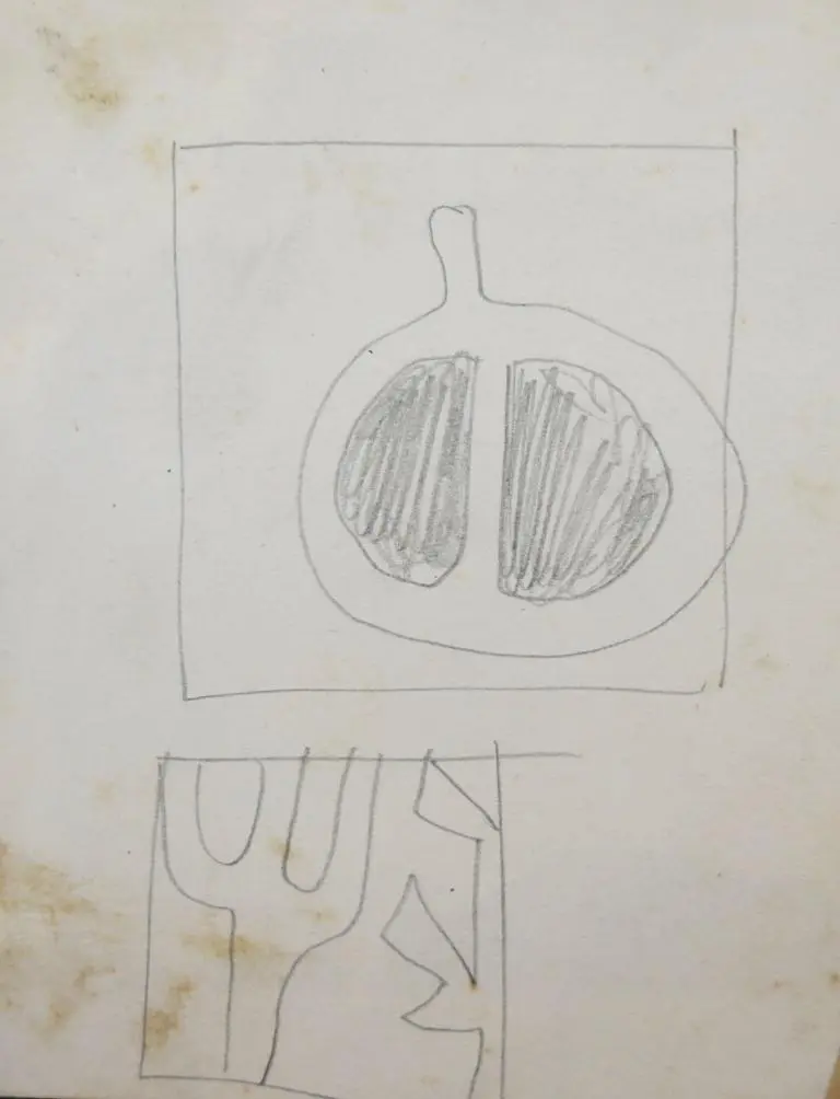 Estudos