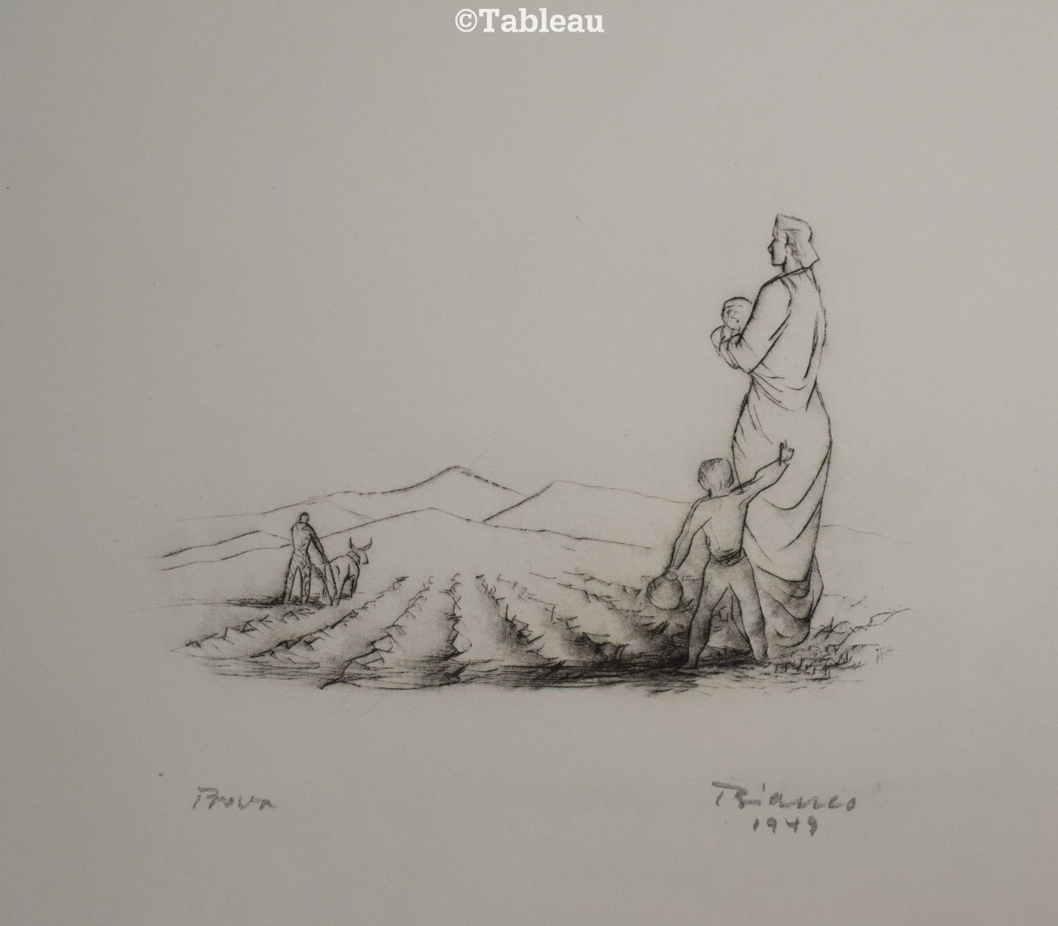 Arando a terra