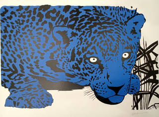 Kleber Ventura - Onça pintada azul