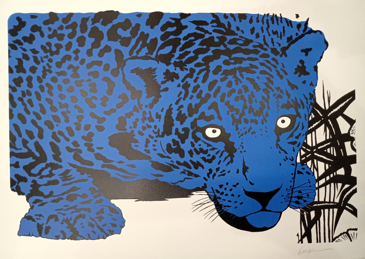 Kleber Ventura - Onça pintada azul