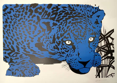 Onça pintada azul