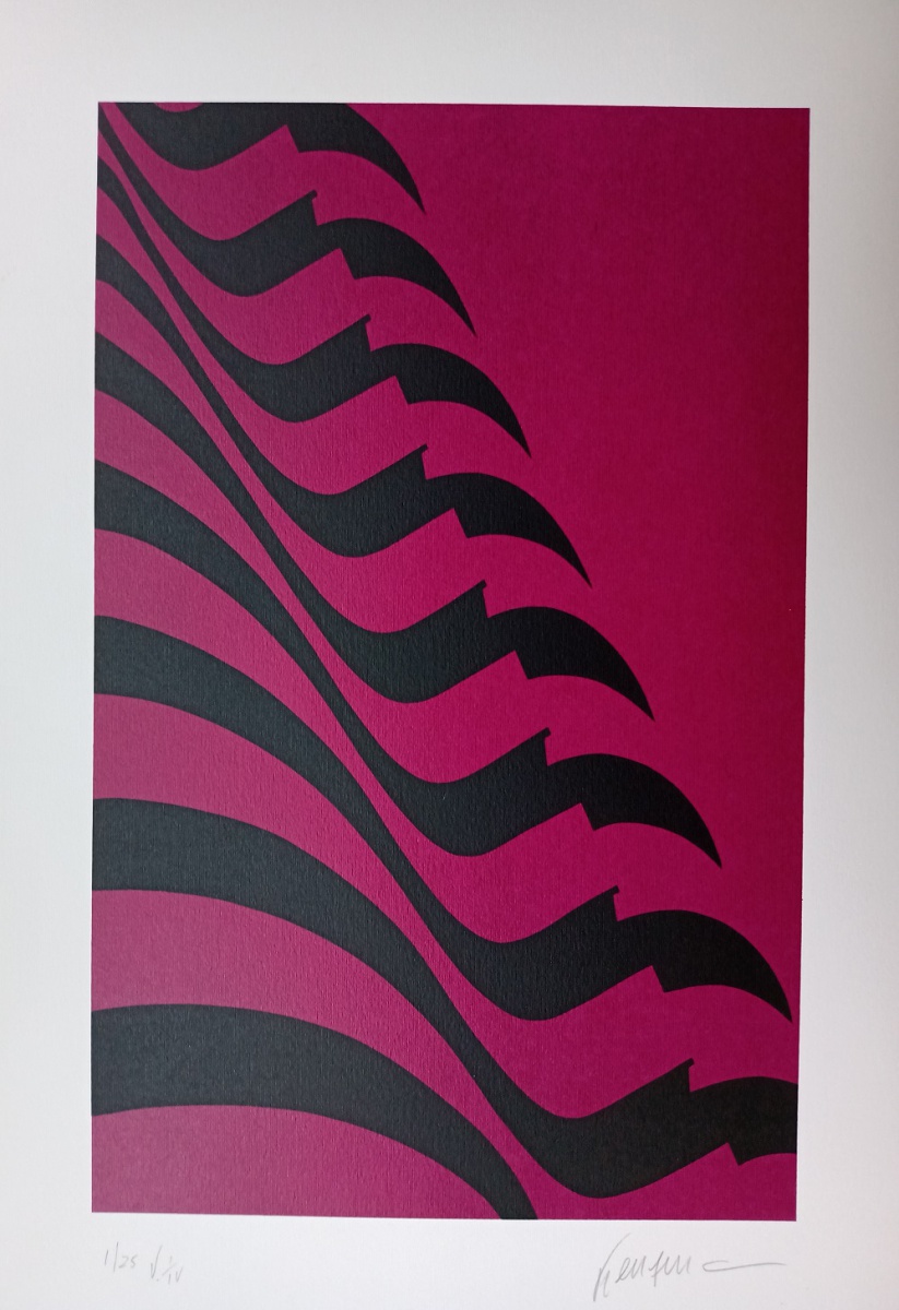 Kleber Ventura - Bandeira pink