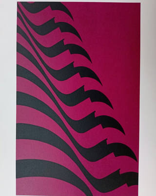 Kleber Ventura - Bandeira pink