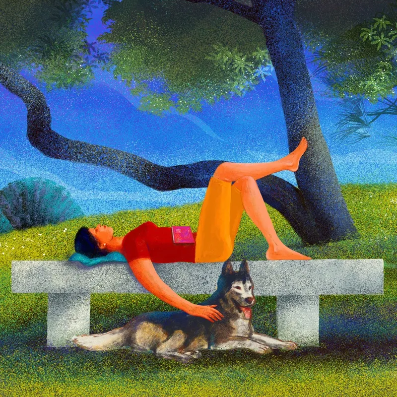Domingo no Parque com Pet II