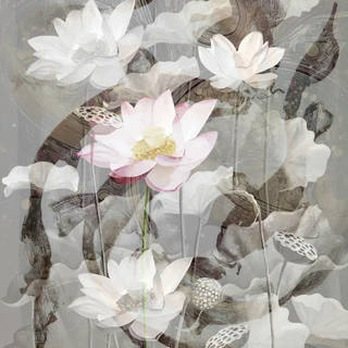 Nato Gomes - Carpas e Lotus I