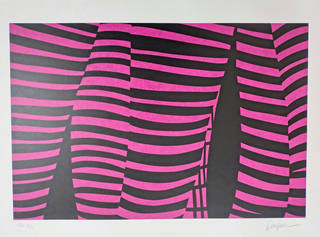 Kleber Ventura - Perna Pink