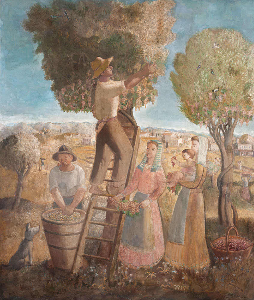 Colheita de Uva