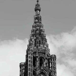 Stela Araujo & Marcos Wilke - Torre de Strasbourg