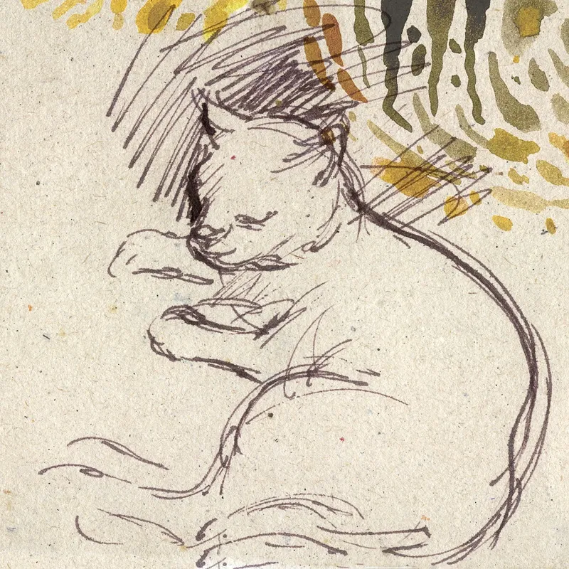 Cochilo Felino I