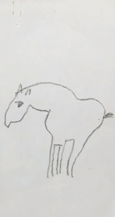 Estudos