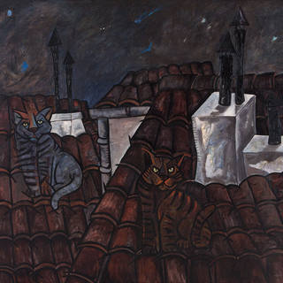 Jesús Fuertes - Gatos