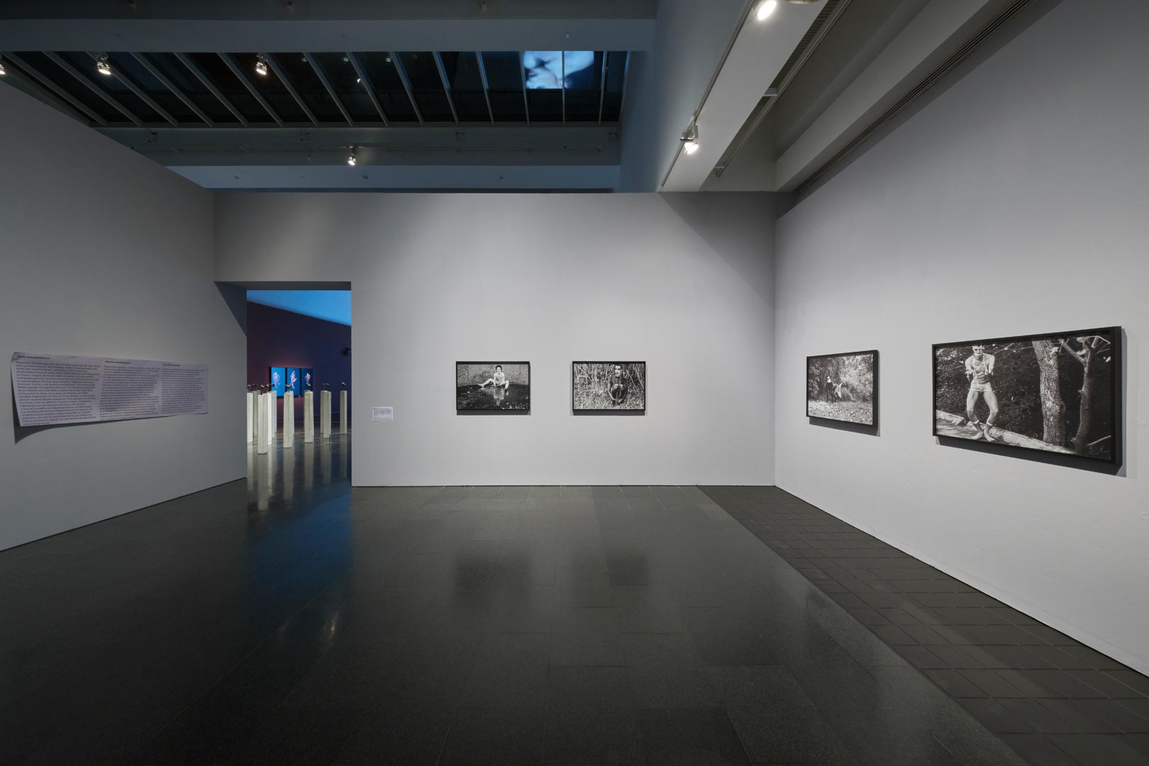 Carlos Motta - Vista da exposição