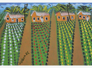 José Antônio da Silva - Plantação