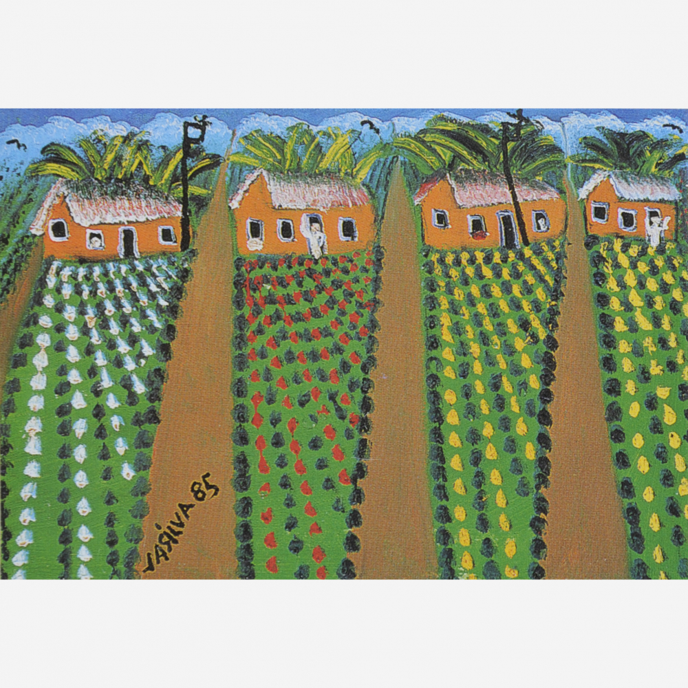 José Antônio da Silva - Plantação