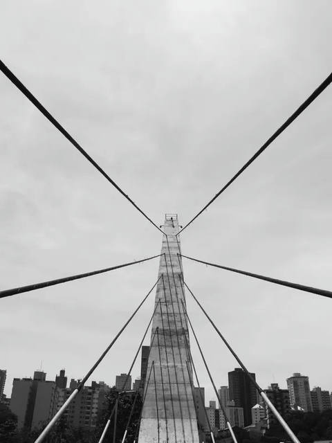 Sm - Piracicaba 01