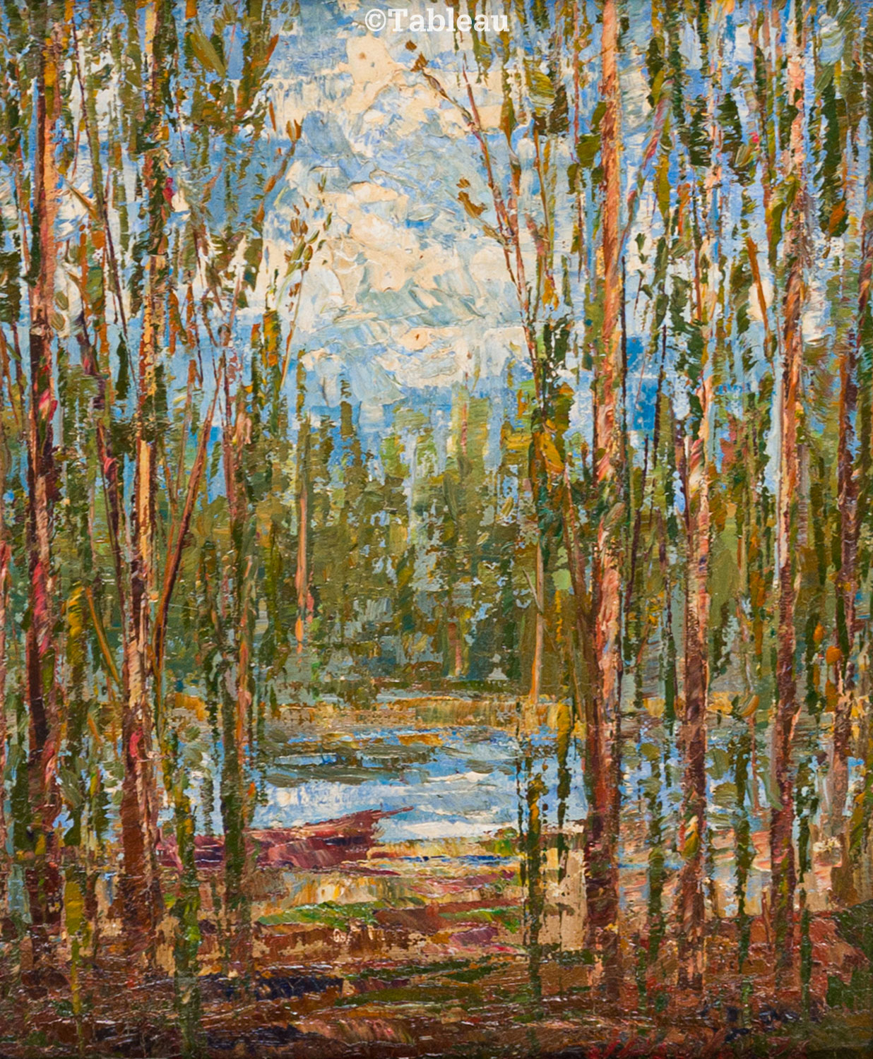 José Paulo Moreira da Fonseca - Floresta