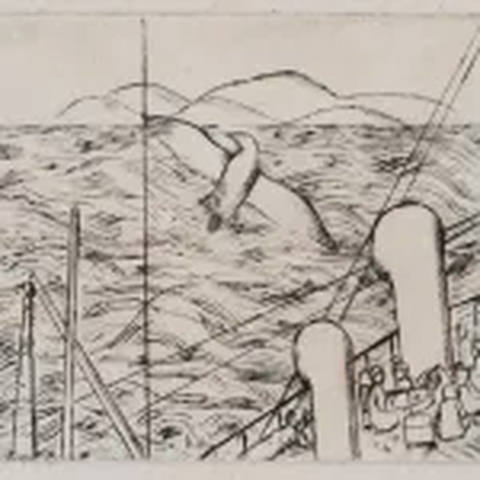 Gaivota e Mar