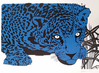 Kleber Ventura - Onça Azul