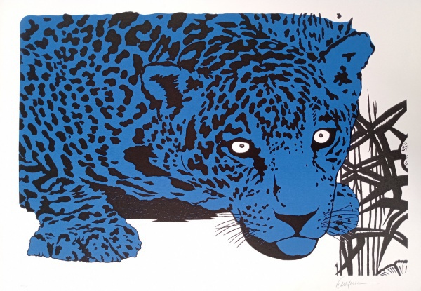 Kleber Ventura - Onça Azul