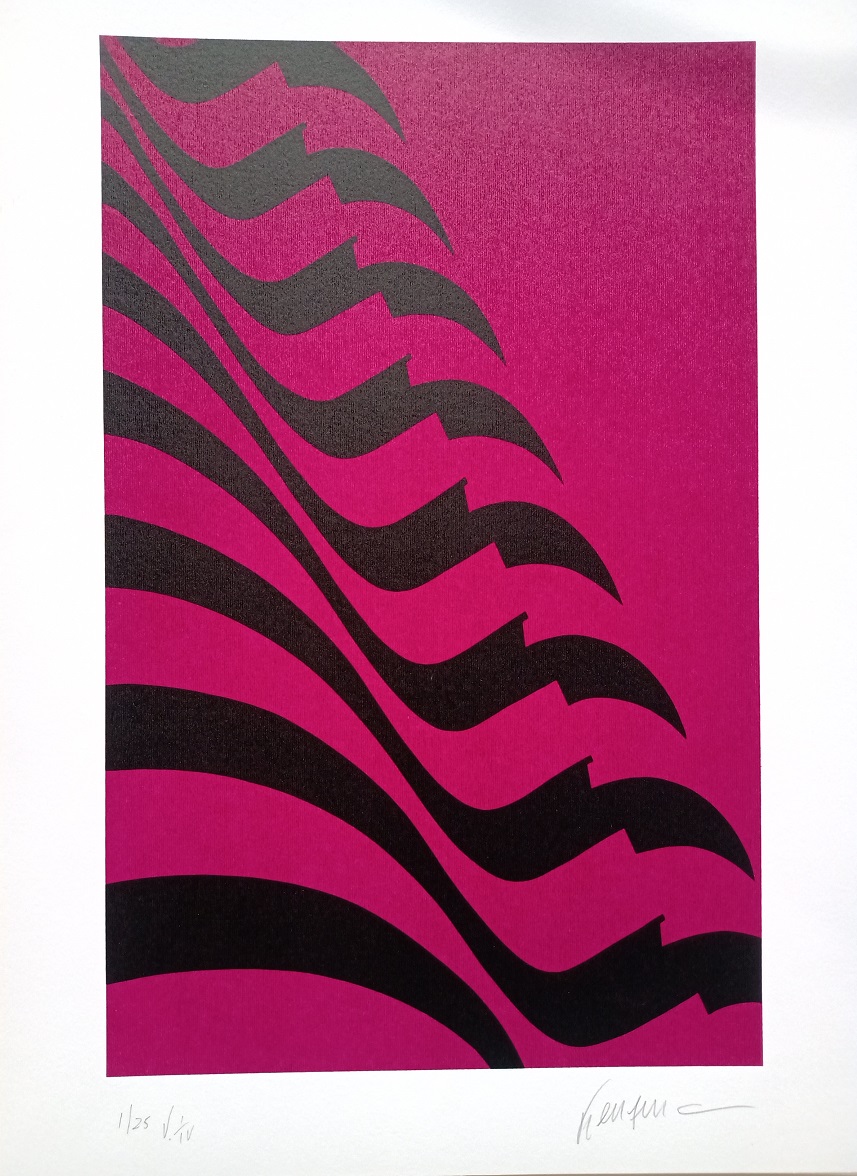 Kleber Ventura - Bandeira Pink