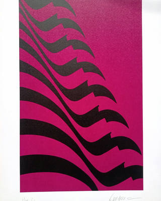 Kleber Ventura - Bandeira Pink