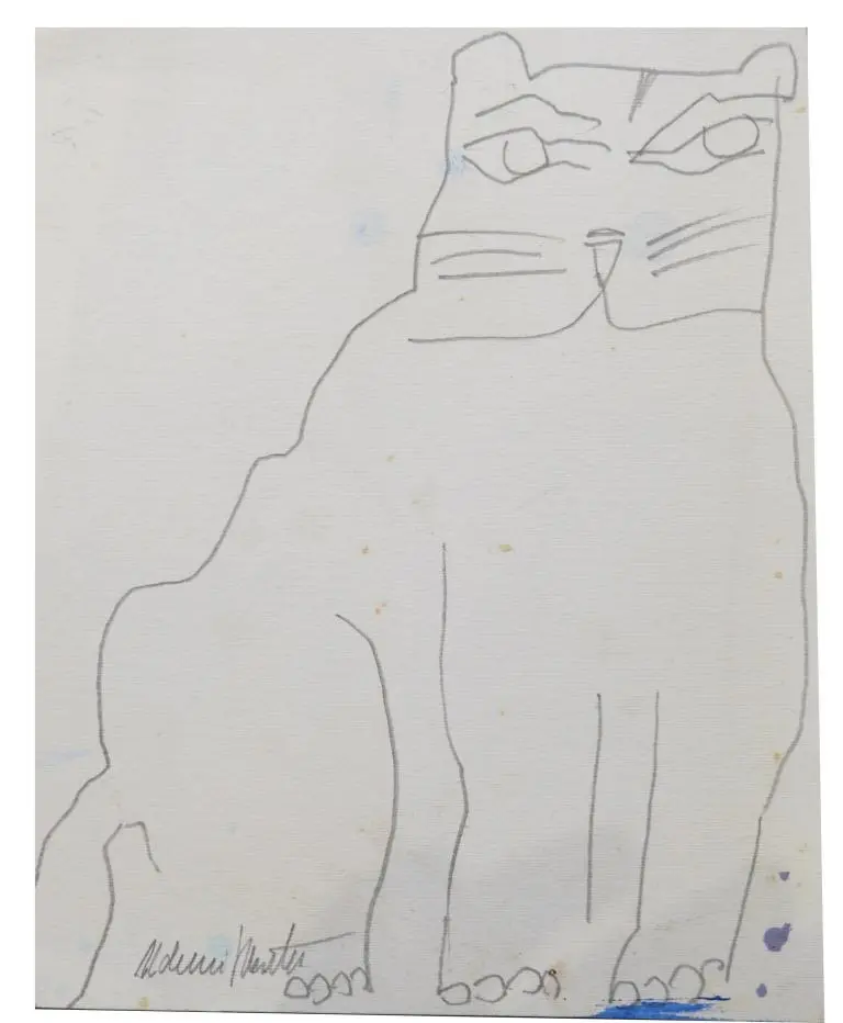 Gato