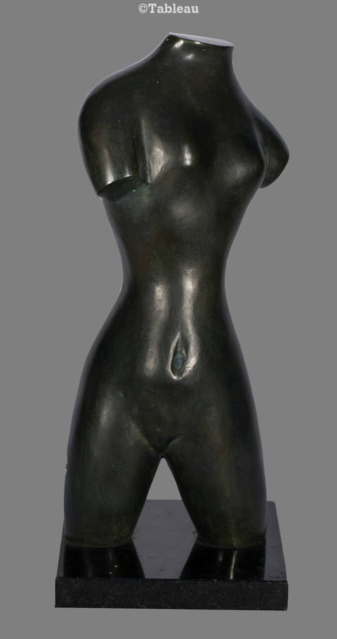 Torso
