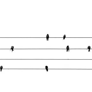 Stela Araujo & Marcos Wilke - Sm - Partitura 02
