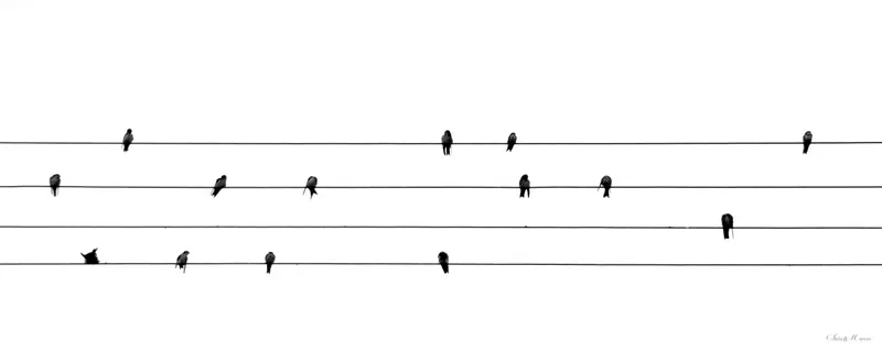 Stela Araujo & Marcos Wilke - Sm - Partitura 02