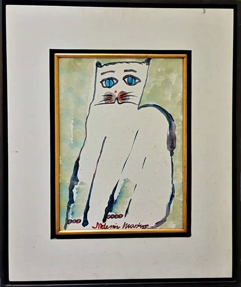 Gato branco