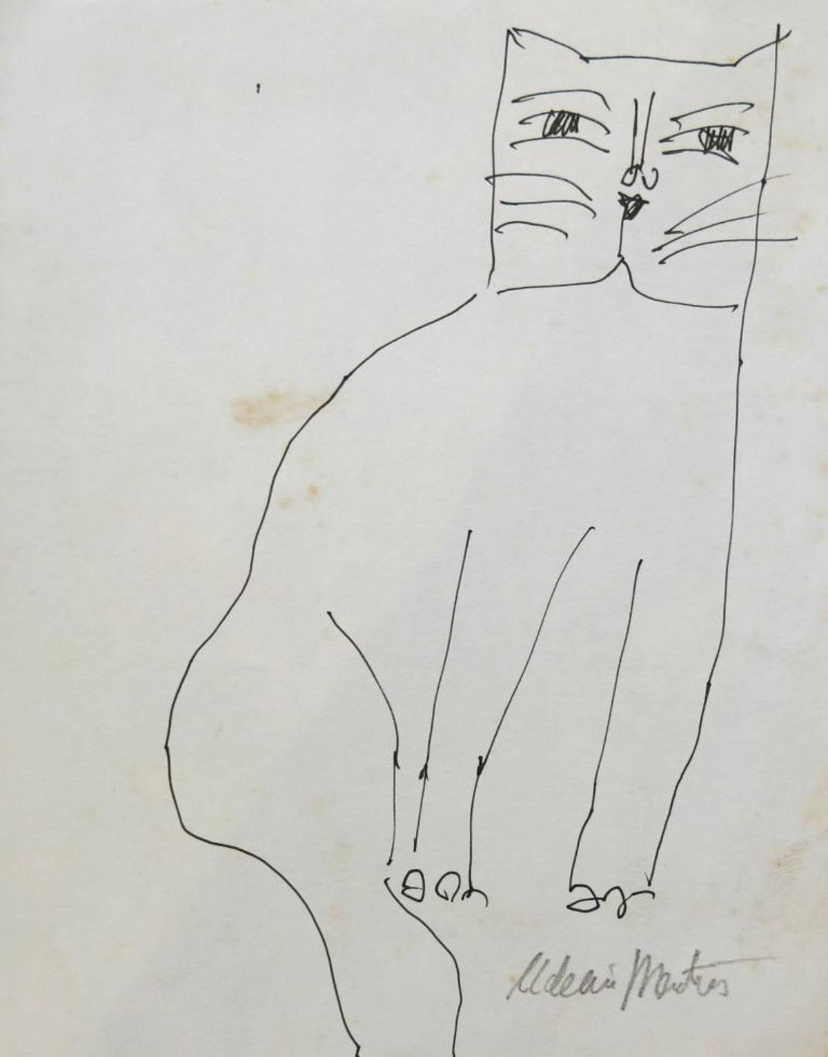 Gatos