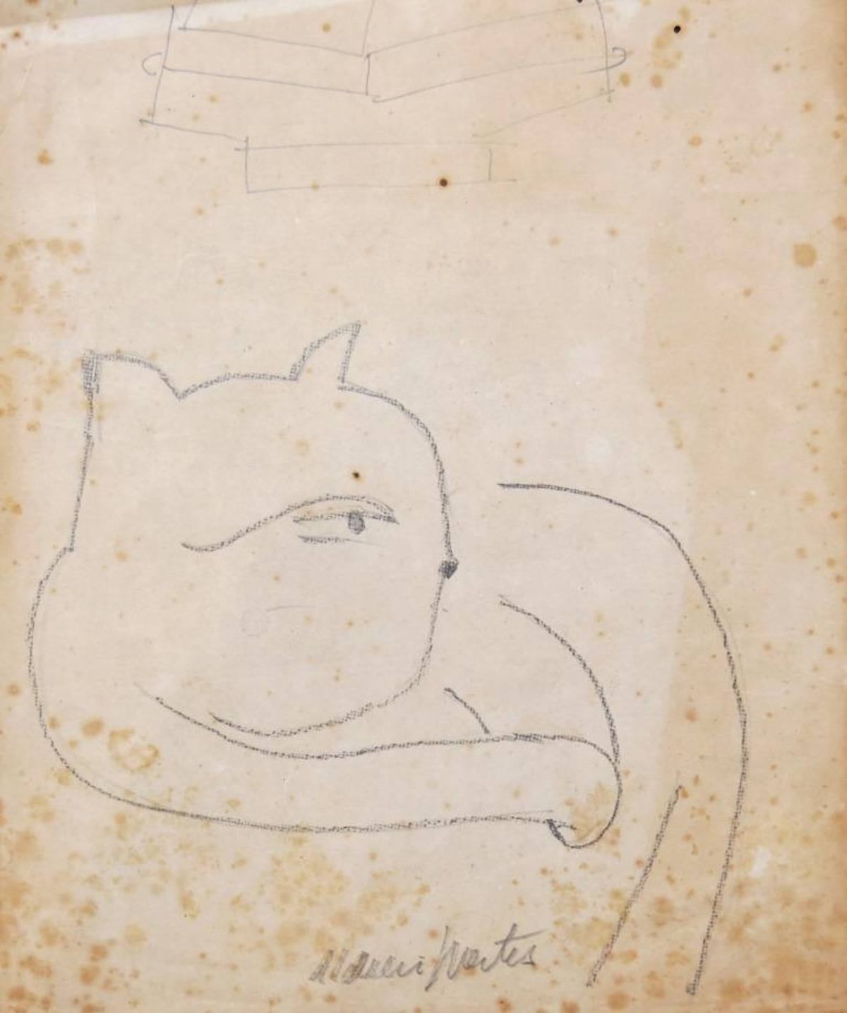 Gatos