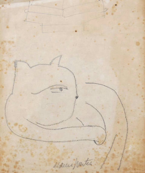 Gatos
