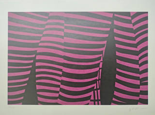 Kleber Ventura - Pernas Pink