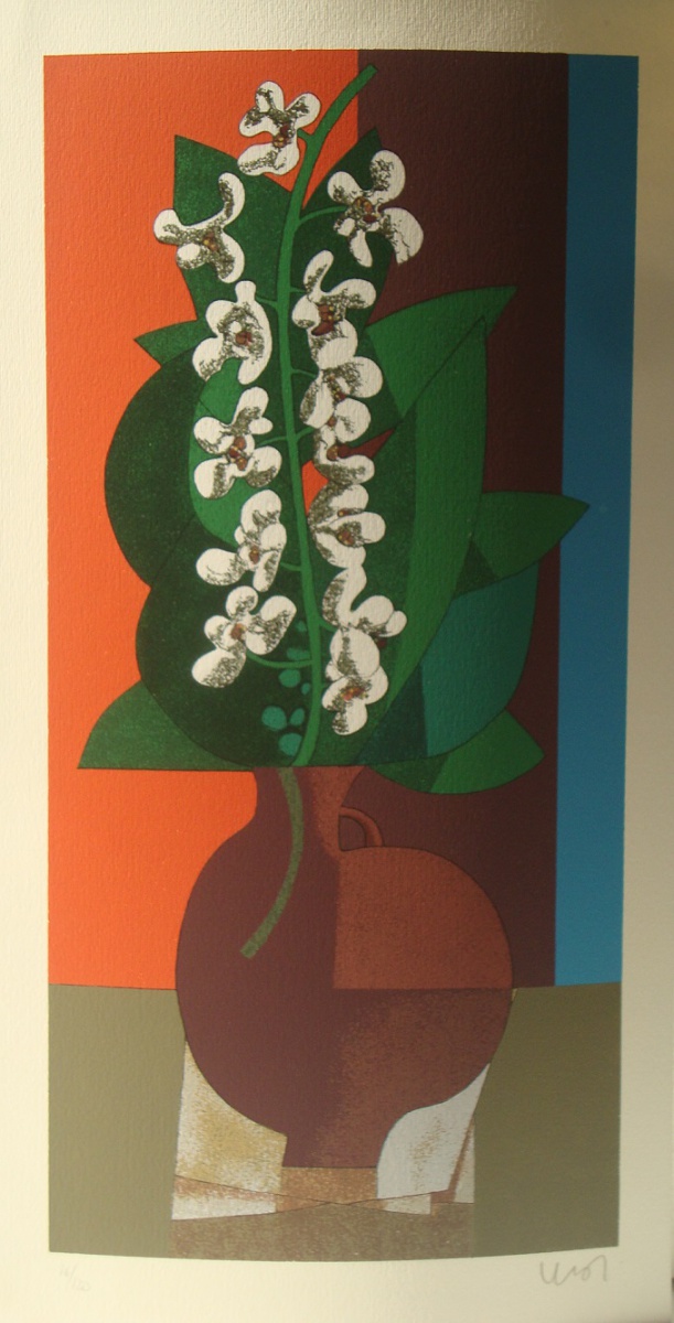 Orquídeas