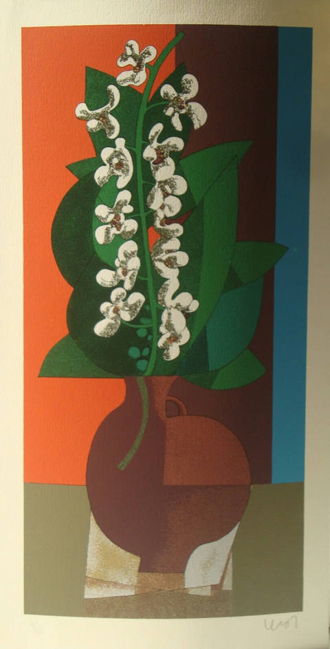 Orquídeas