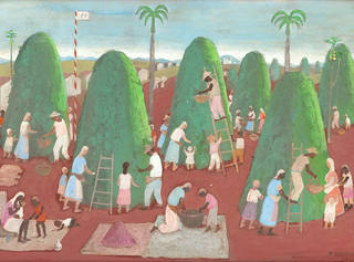 Fulvio Pennacchi - Colheita