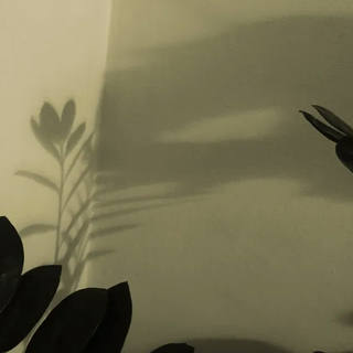 Nato Gomes - Dialogando com as Sombras II