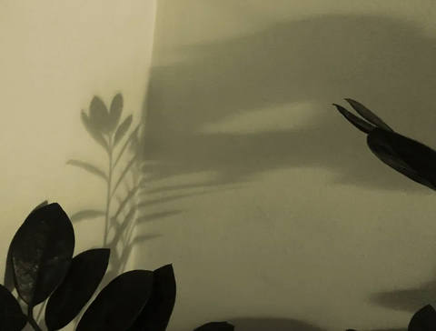 Dialogando com as Sombras II