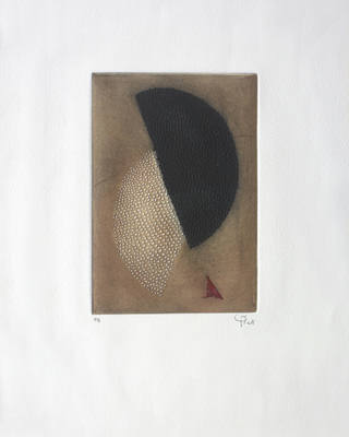 Arthur Luiz Piza - L'ombre du jour