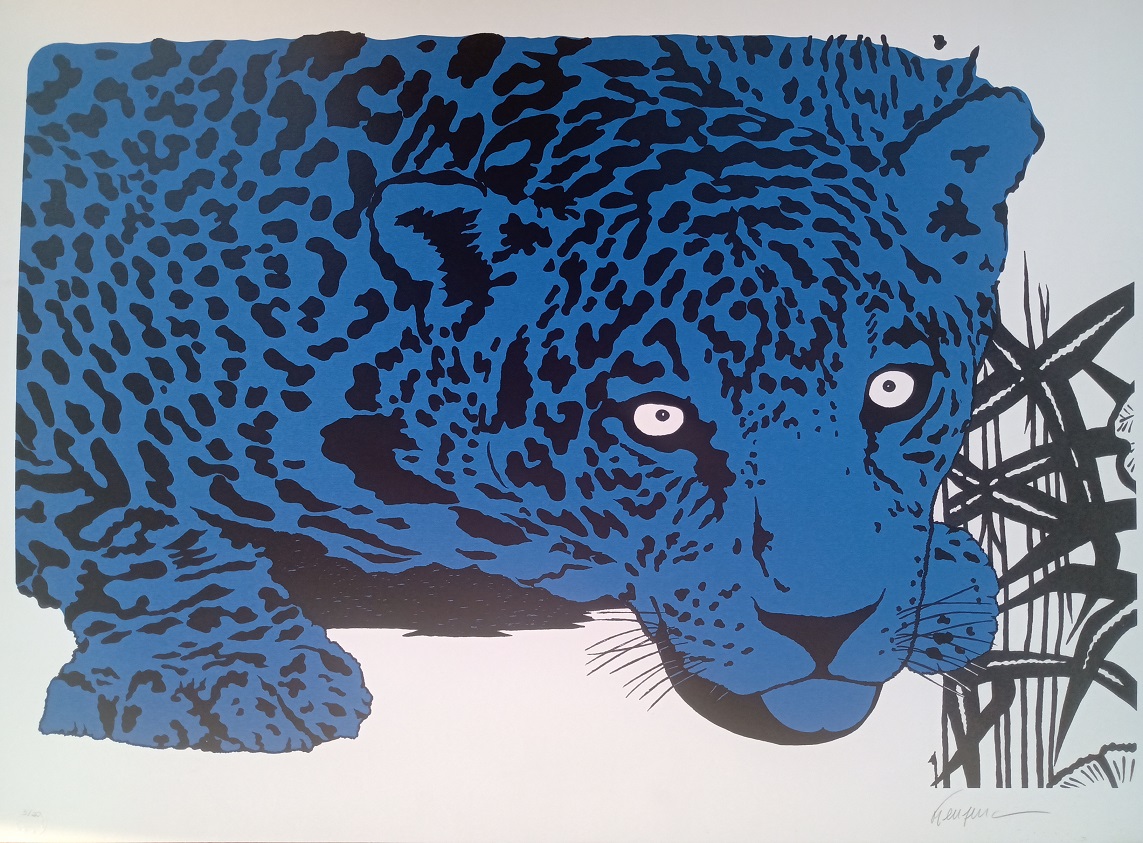 Onça Azul