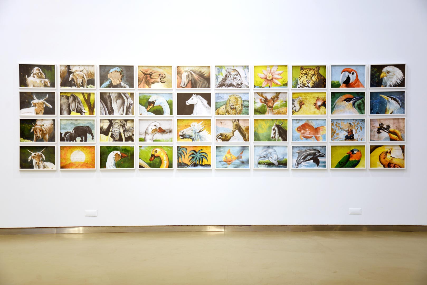 Taxonomy of the Wild